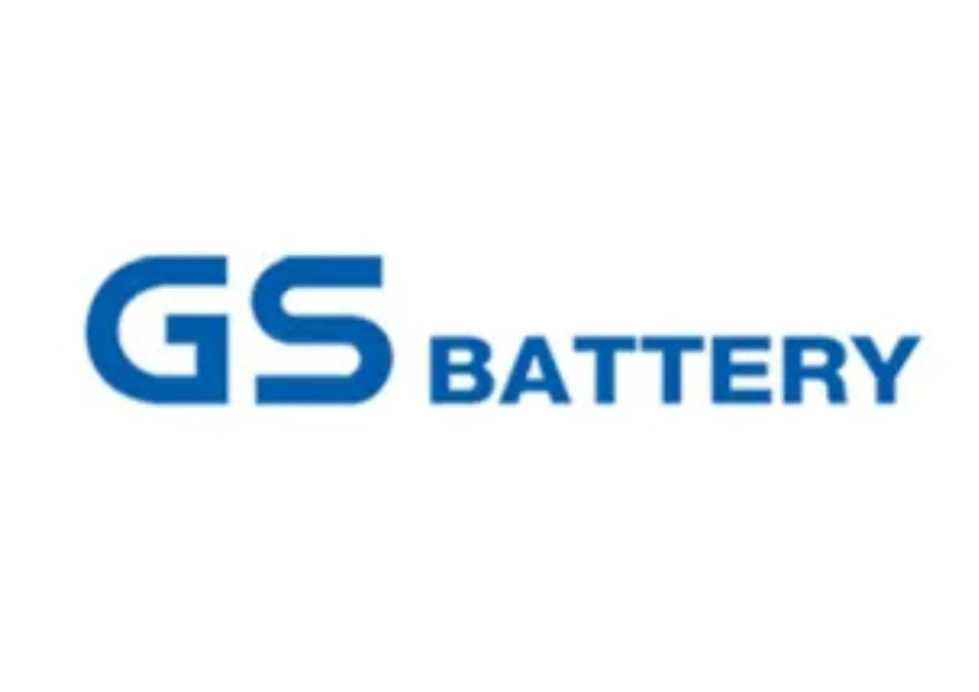 Gs Battery